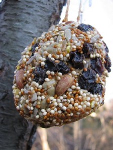 pinecone bird feeder