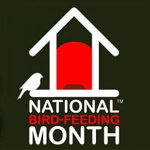 National Bird-Feeding Month