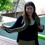 Slithering Songs
