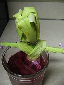 corn husk girl dye bath