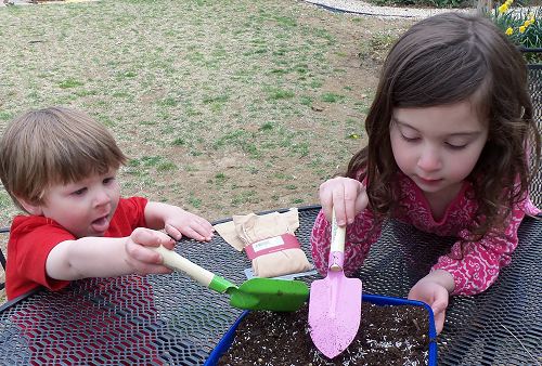 Grass Caterpillar - National Children's Gardening Week