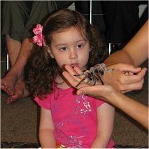 Rosie Tarantula with Child