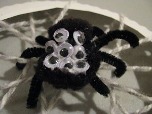 Spider Craft Close-Up