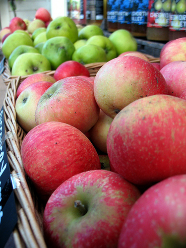 apple varieties